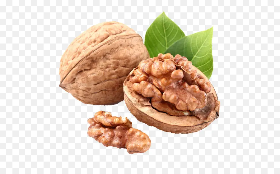 Kacang，Bahasa Inggris Walnut PNG