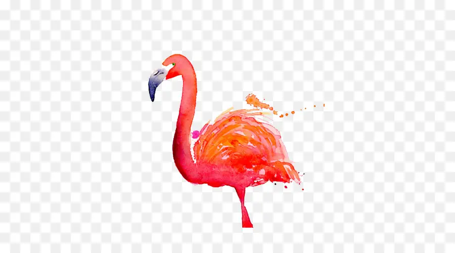 Flamingo，Burung PNG