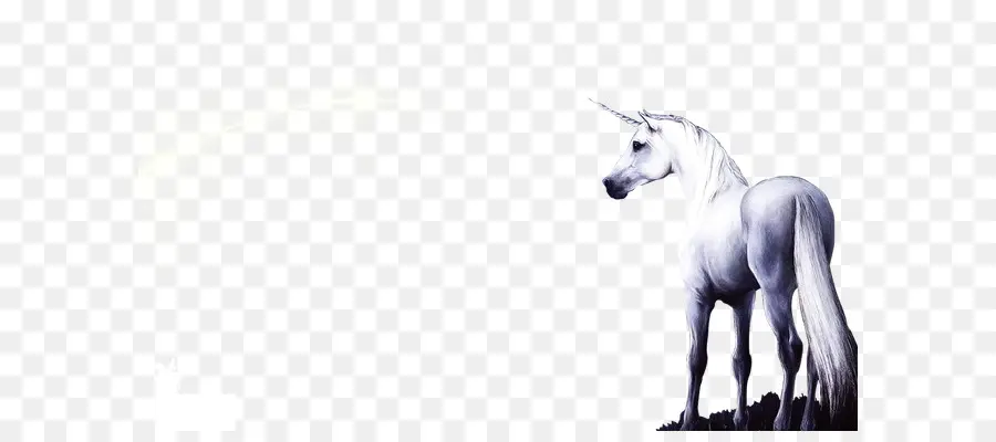 Unicorn，Mitos PNG