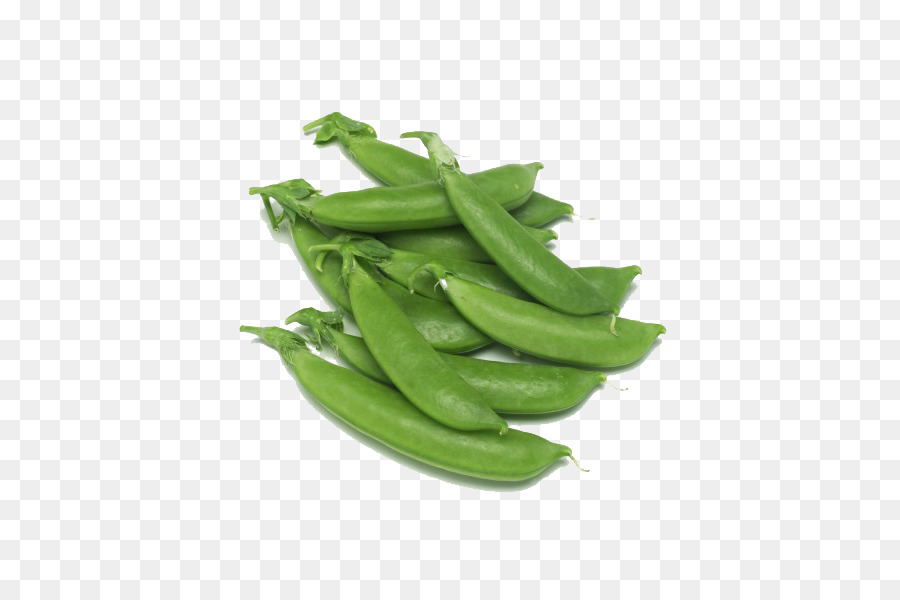 Kacang，Snap Pea PNG