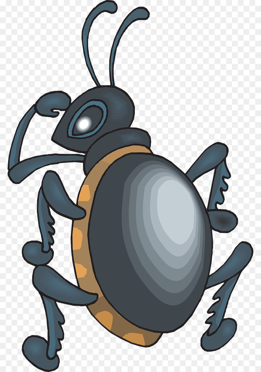 Kumbang，Kartun PNG