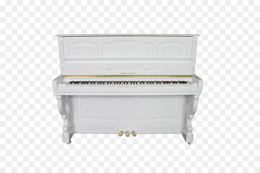 Piano Besar，Musik PNG