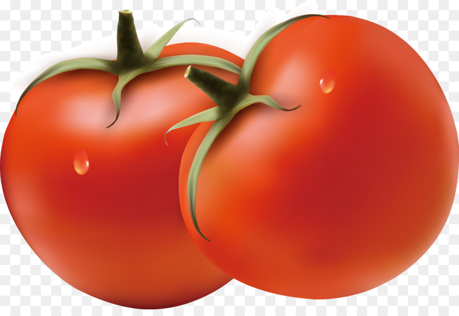 Tomat Plum，Hamburger PNG