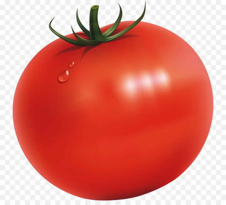 Tomat Plum，Bush Tomat PNG