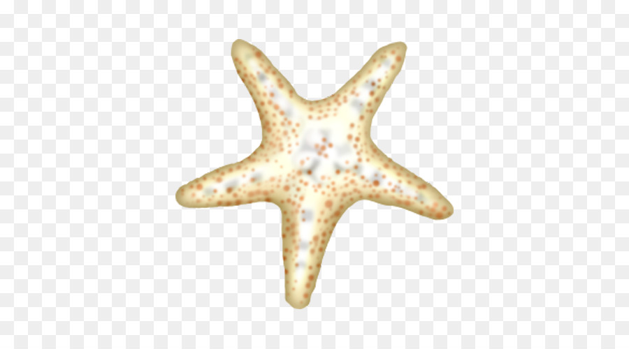 Bintang Laut，Kartun PNG