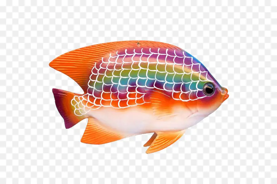 Ikan Tropis，Ikan PNG