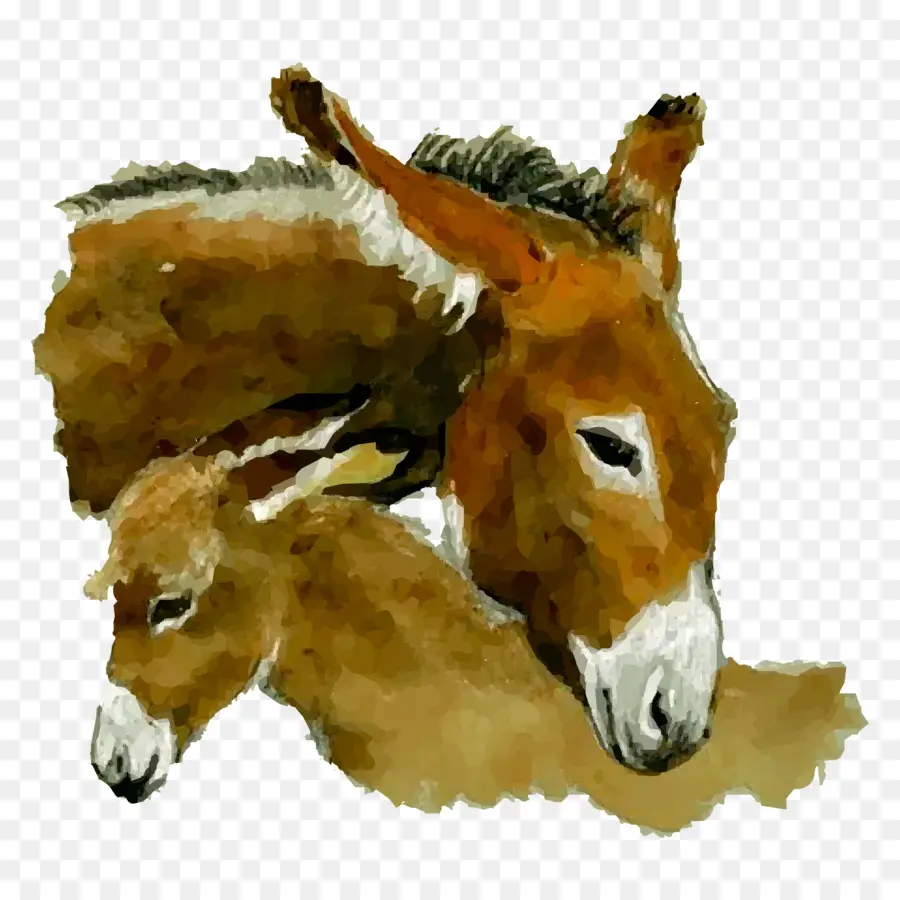 Keledai，Lukisan Cat Air PNG
