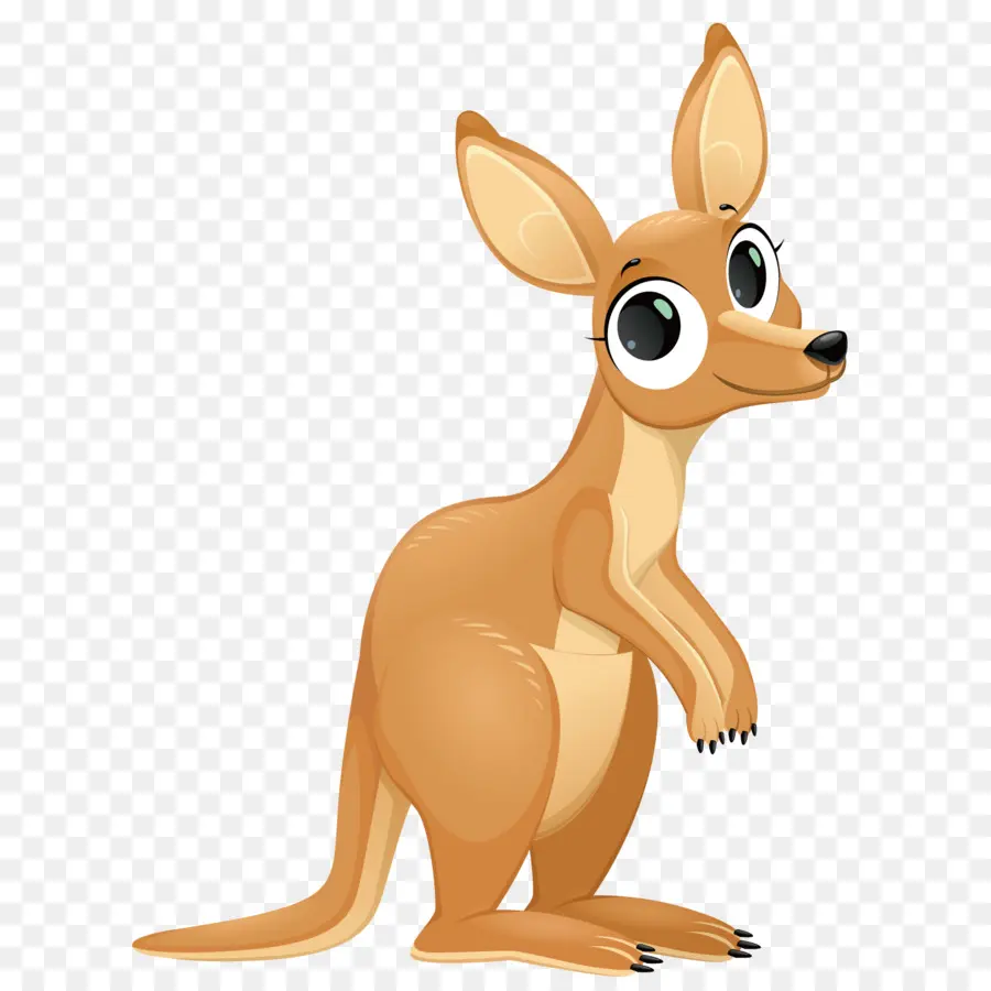 Kanguru，Kartun PNG