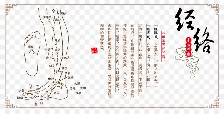 Diagram Kaki，Akupunktur PNG