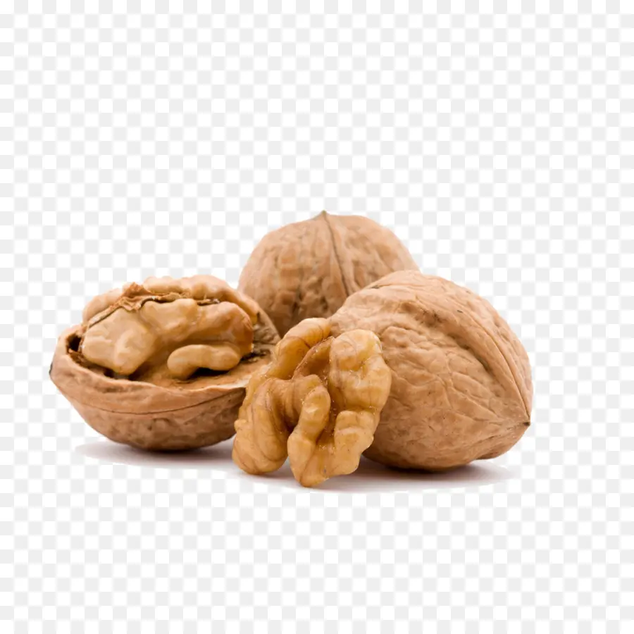 Kenari，Kacang PNG