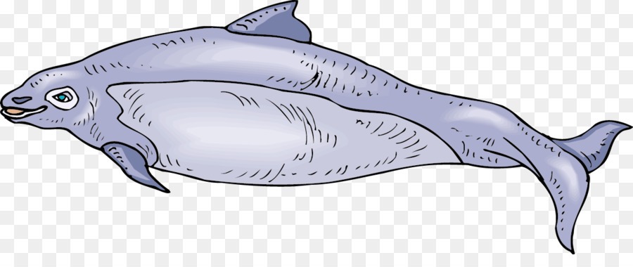 Ikan，Biru PNG