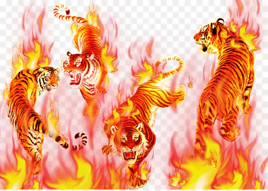 Harimau，Api PNG