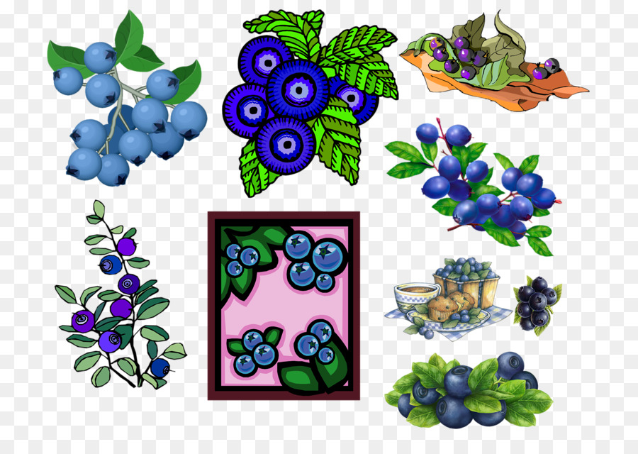 Bilberry，Blueberry PNG