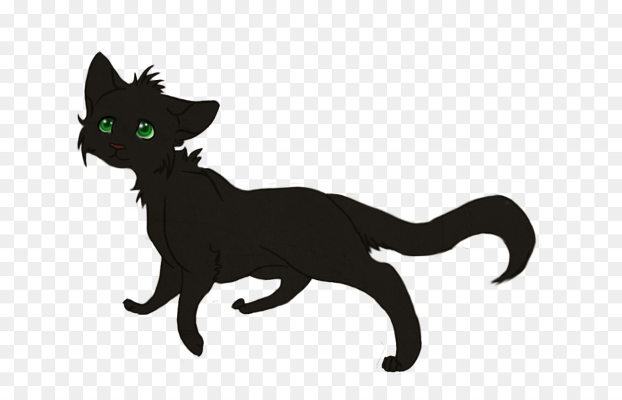 Kucing Hitam，Kucing PNG