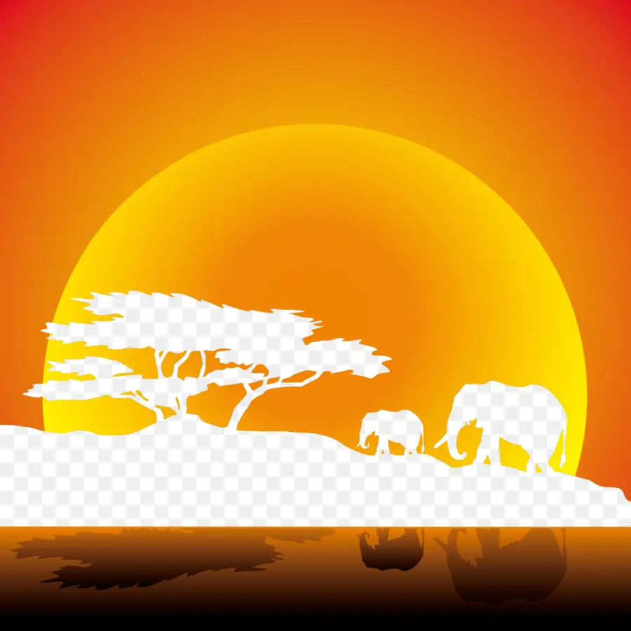 Afrika，Gajah Afrika PNG