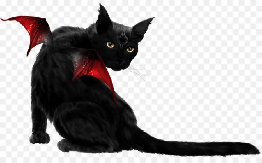 Kucing Hitam Dengan Sayap，Fantasi PNG