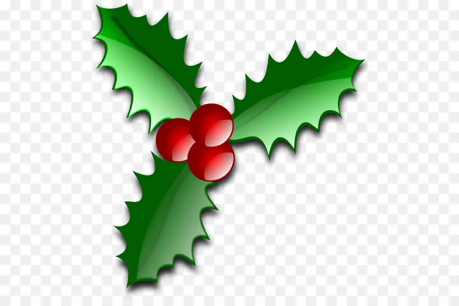 Holly，Daun Daun PNG