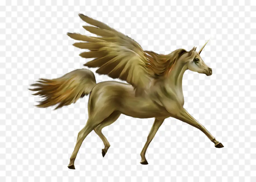 Unicorn，Mitos PNG