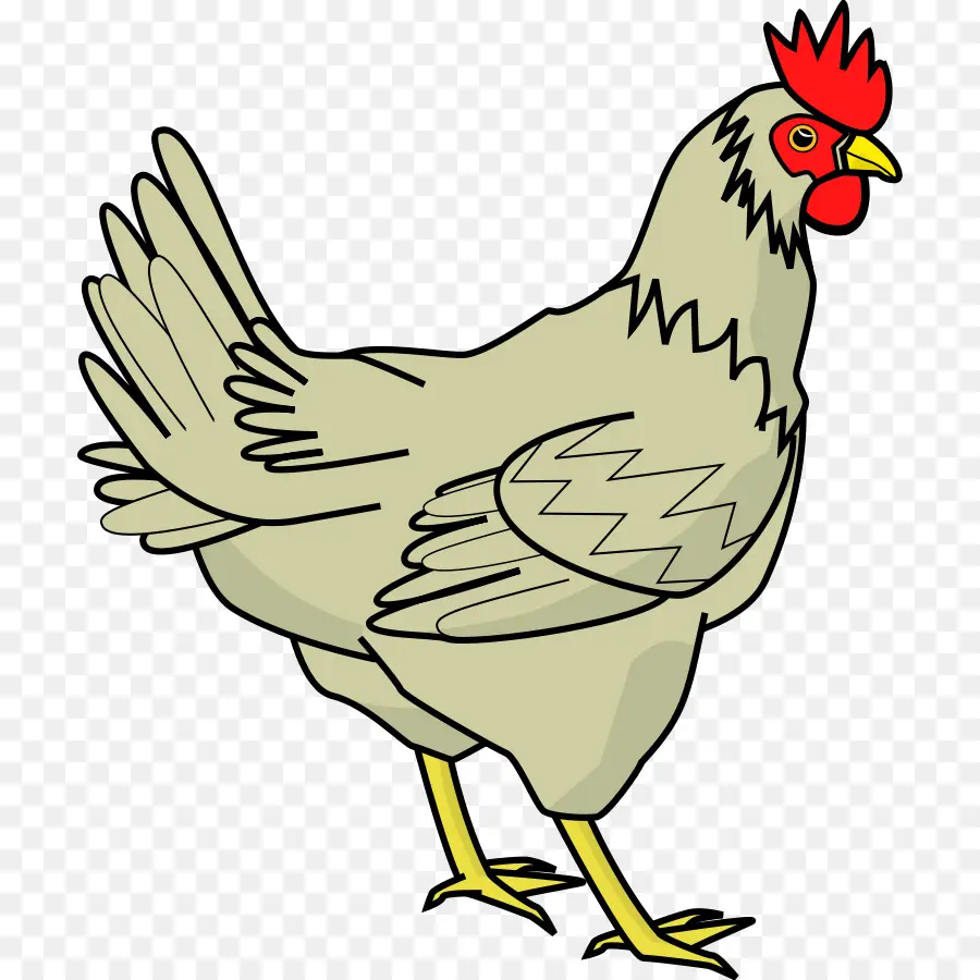 Ayam Kartun，Ayam PNG