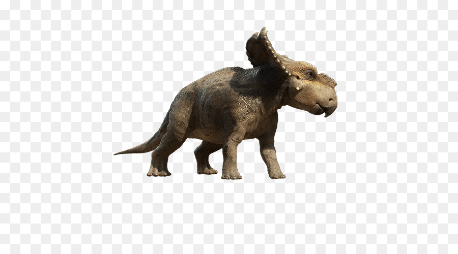 Pachyrhinosaurus Tyrannosaurus Scowler Gambar Png