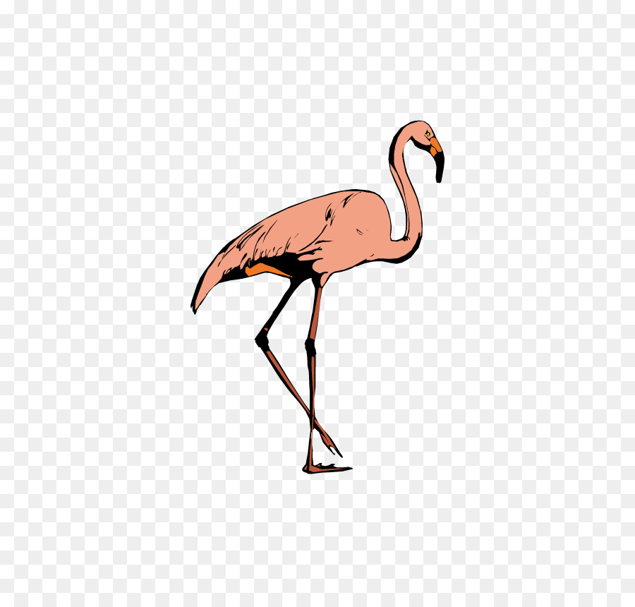 Burung，Crane PNG