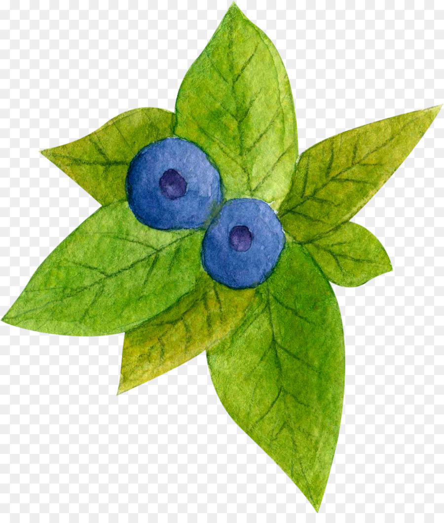 Blueberry，Teh PNG