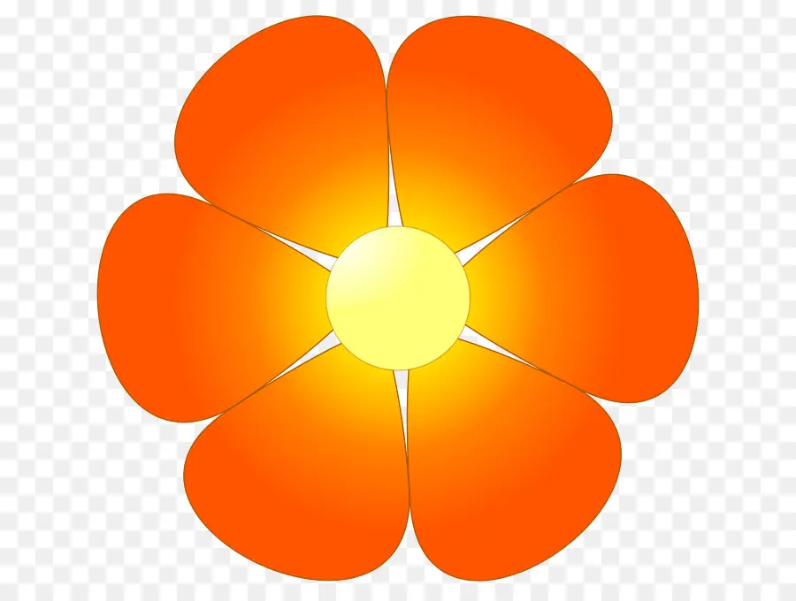 Orange，Bunga PNG