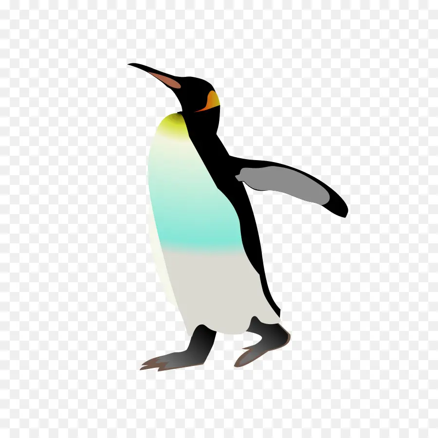 Penguin，Burung PNG