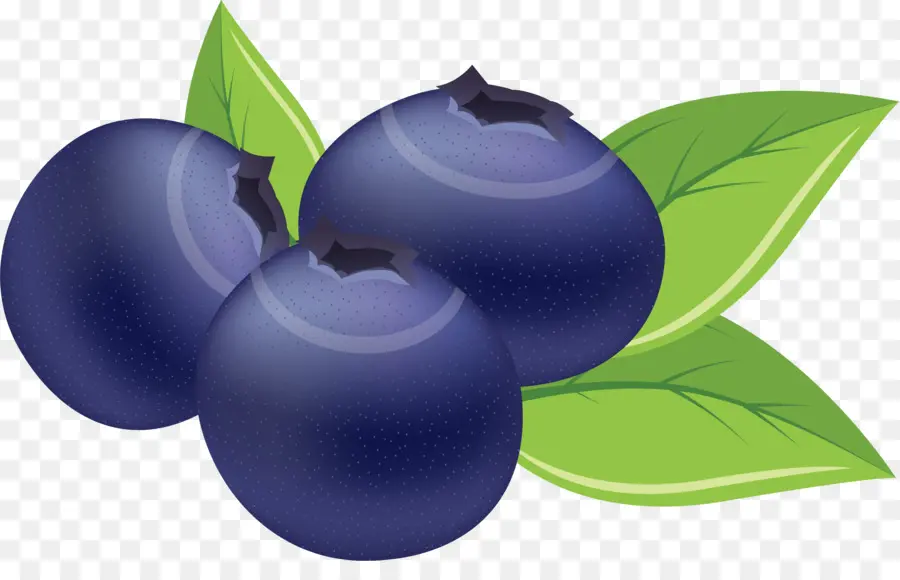 Berry，Lukisan Cat Air PNG