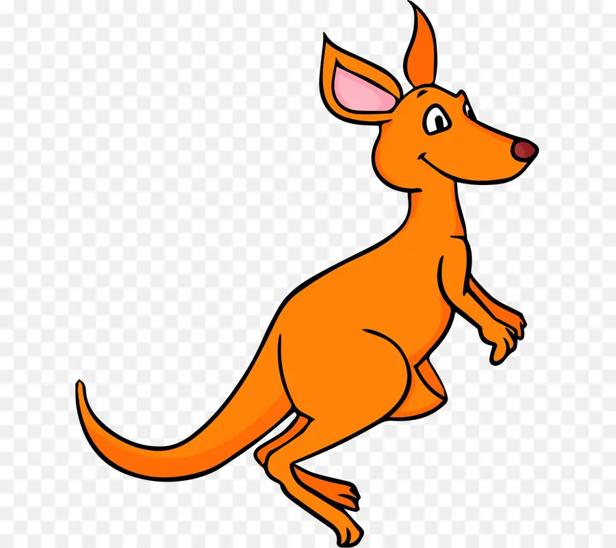 Kanguru，Konten Gratis PNG