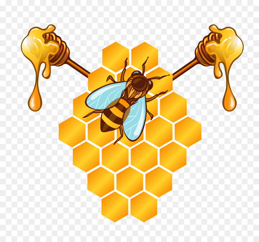  Lebah  Madu Lebah  Sarang  Lebah  gambar png