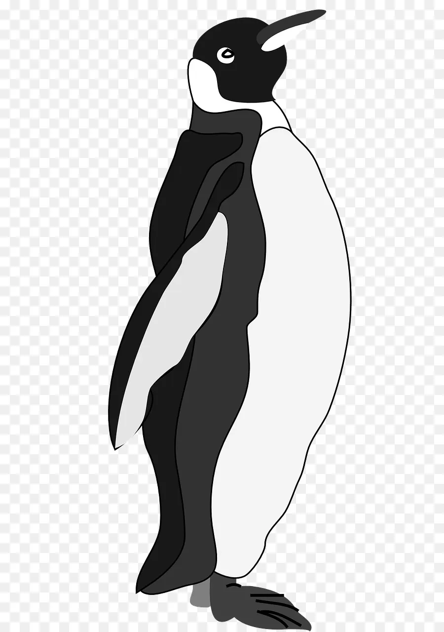 Penguin，Burung PNG