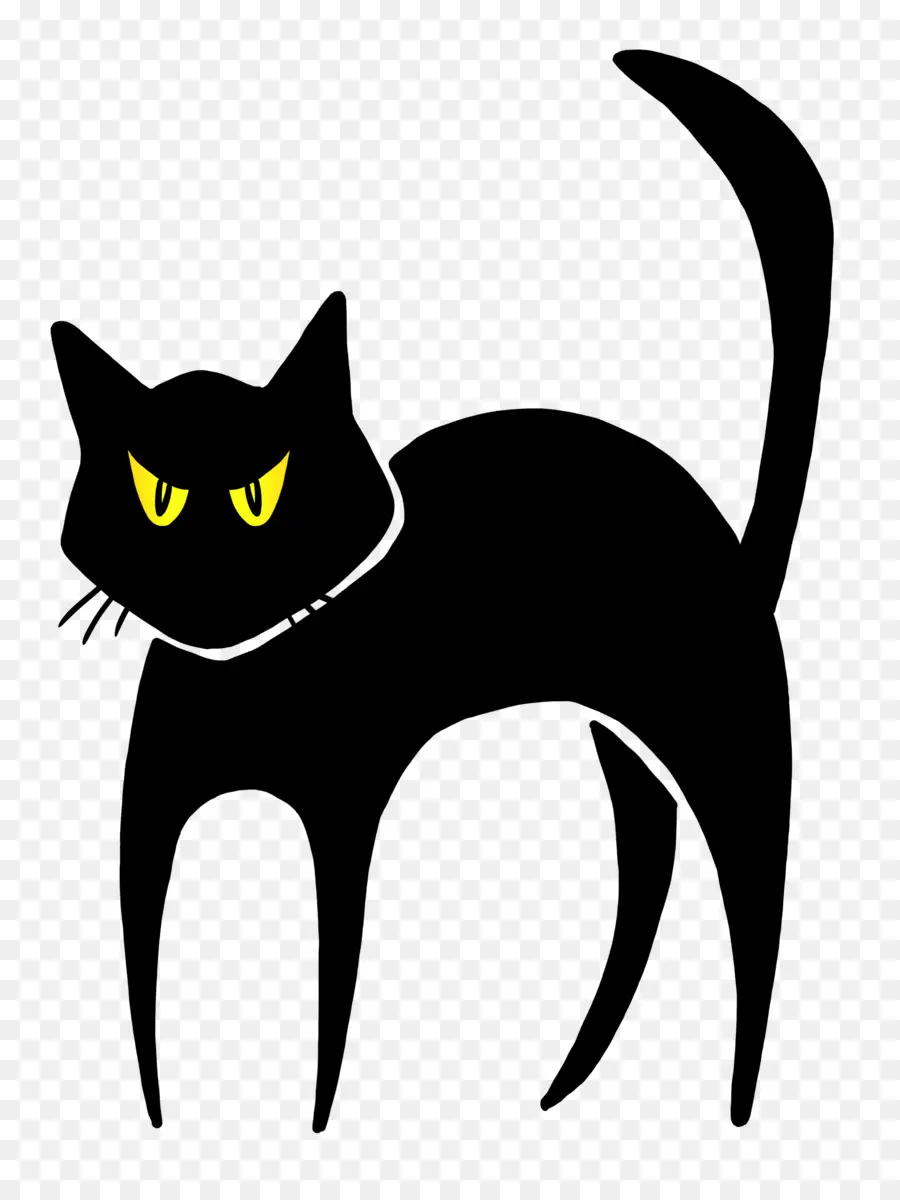 Kucing Hitam，Hallowen PNG