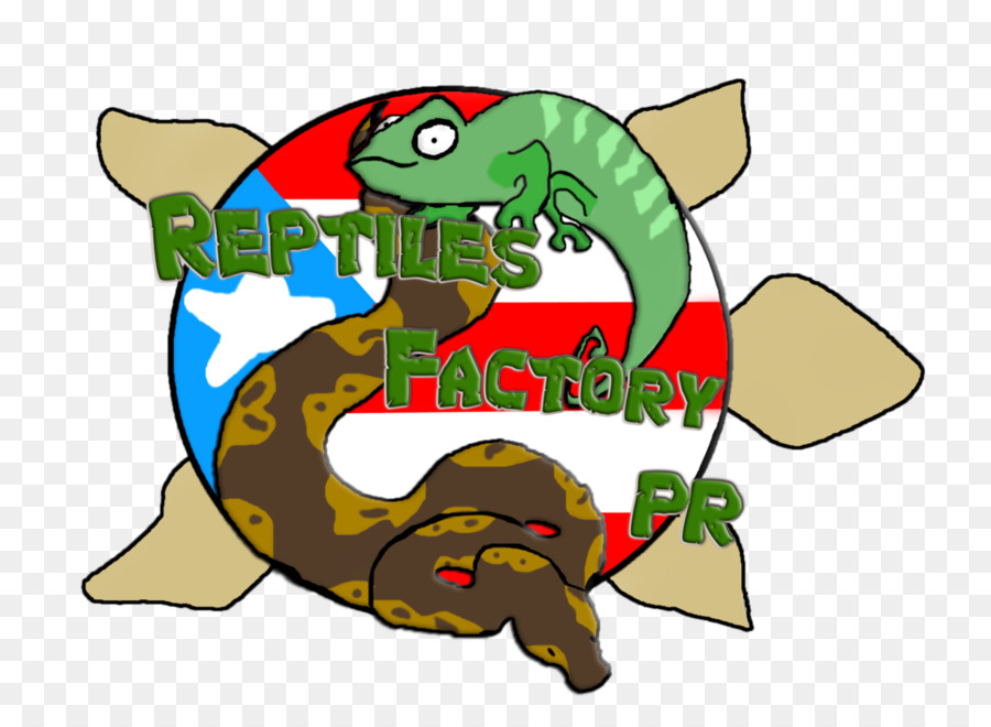 Reptil，Penyu PNG