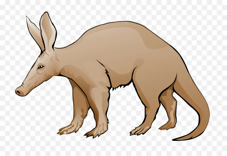 Aardvark，Mamalia PNG