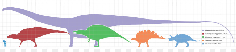 Seismosaurus，Amphicoelias PNG