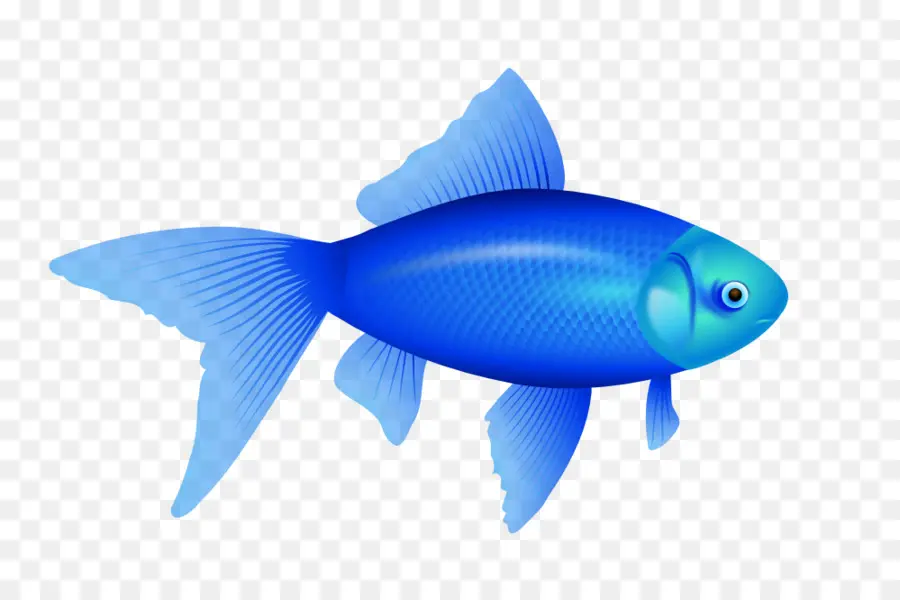 Satu Ikan Dua Ikan Merah Ikan Ikan Biru，Redfish PNG