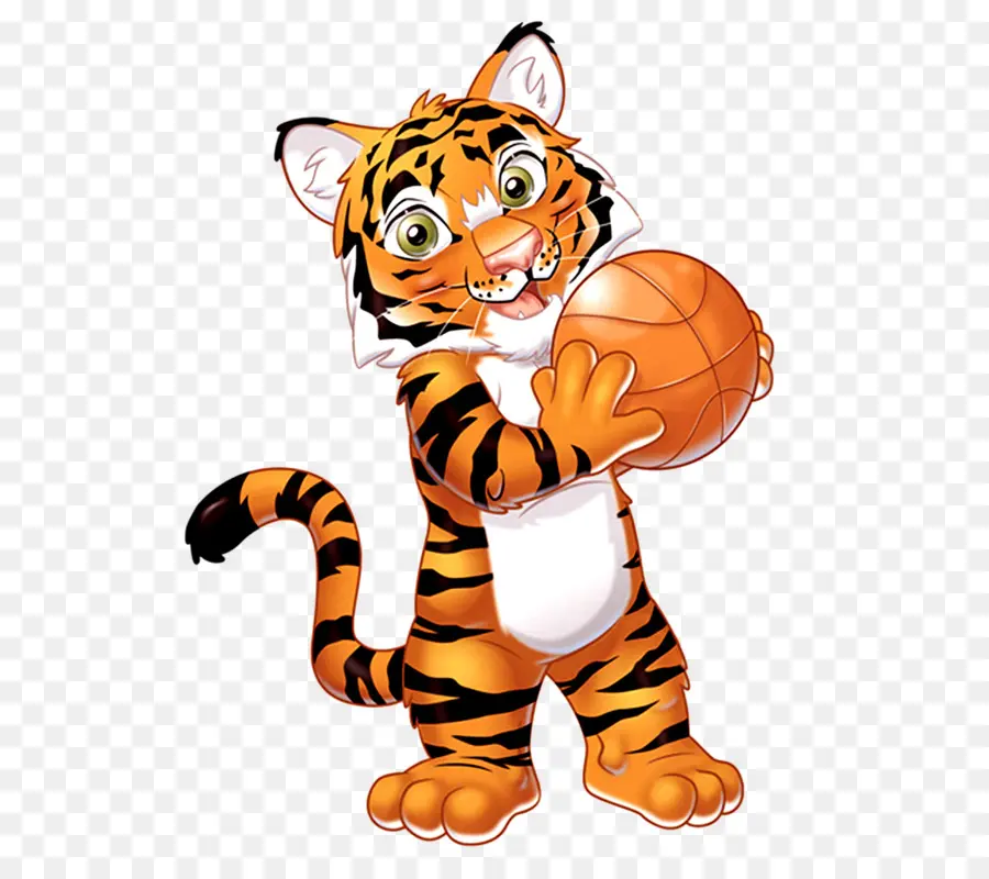 Harimau Dengan Bola Basket，Kartun PNG