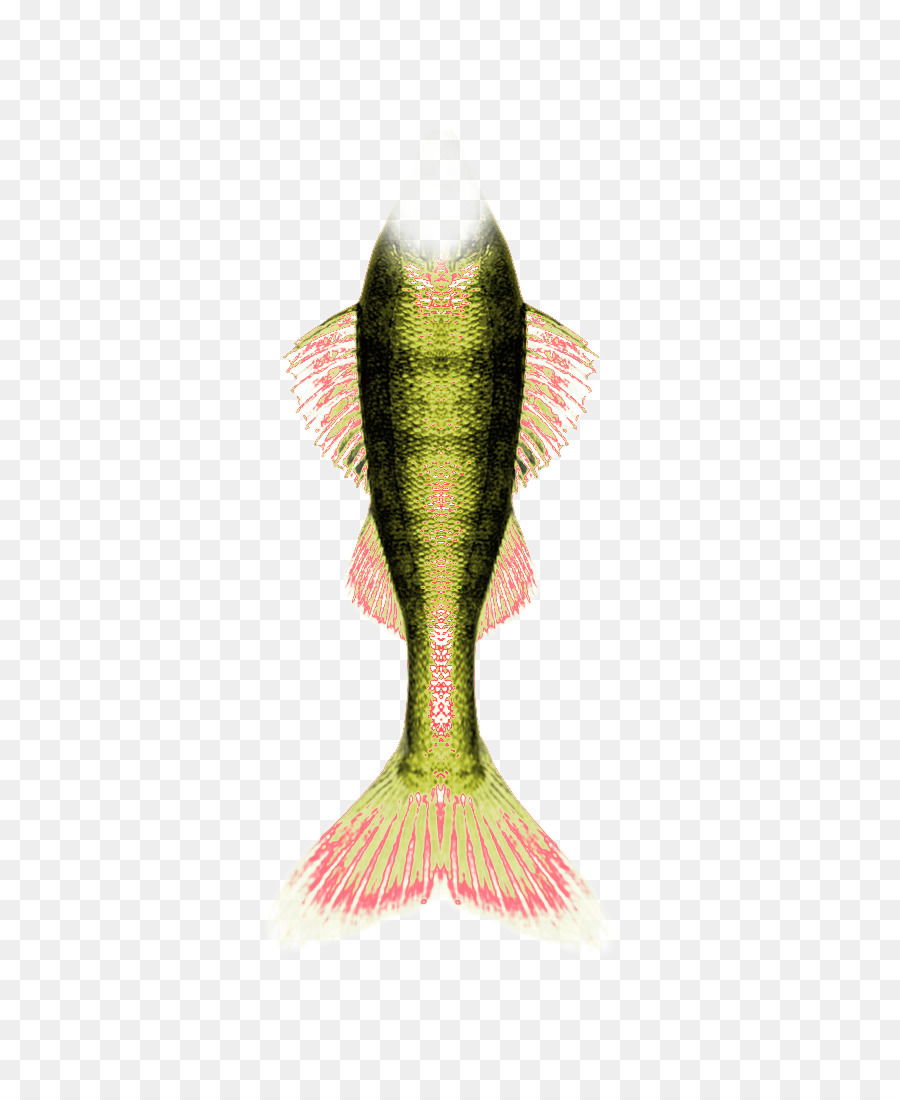 Ikan，Akuatik PNG