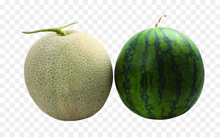 Melon，Semangka PNG