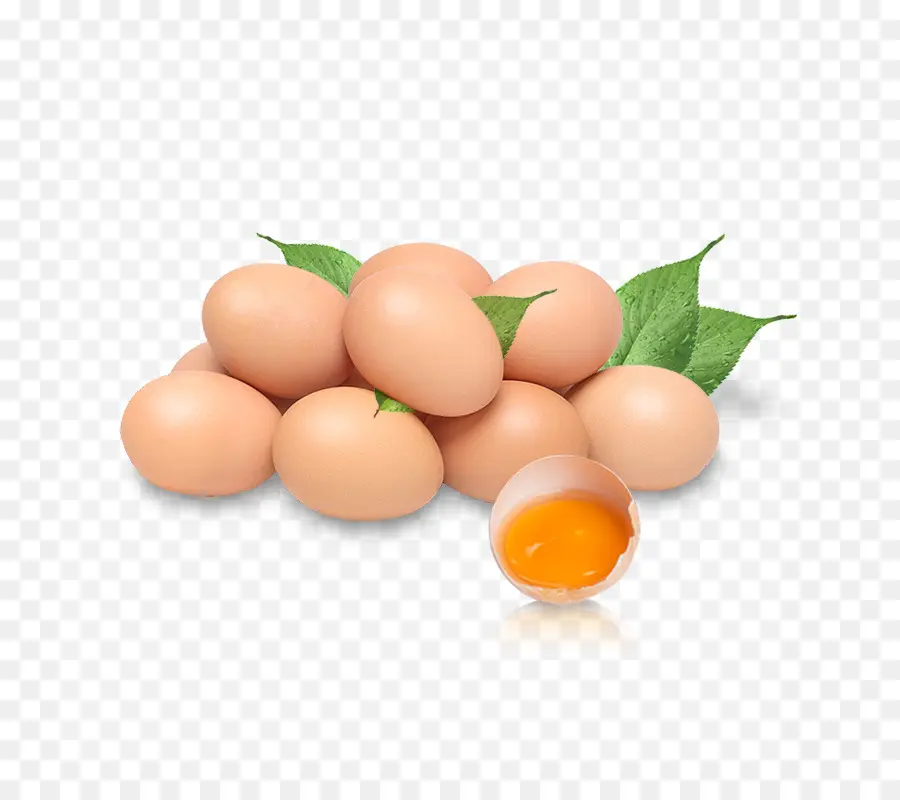 Ayam，Telur PNG