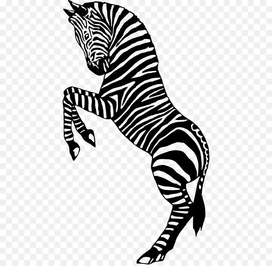 Zebra，Siluet PNG