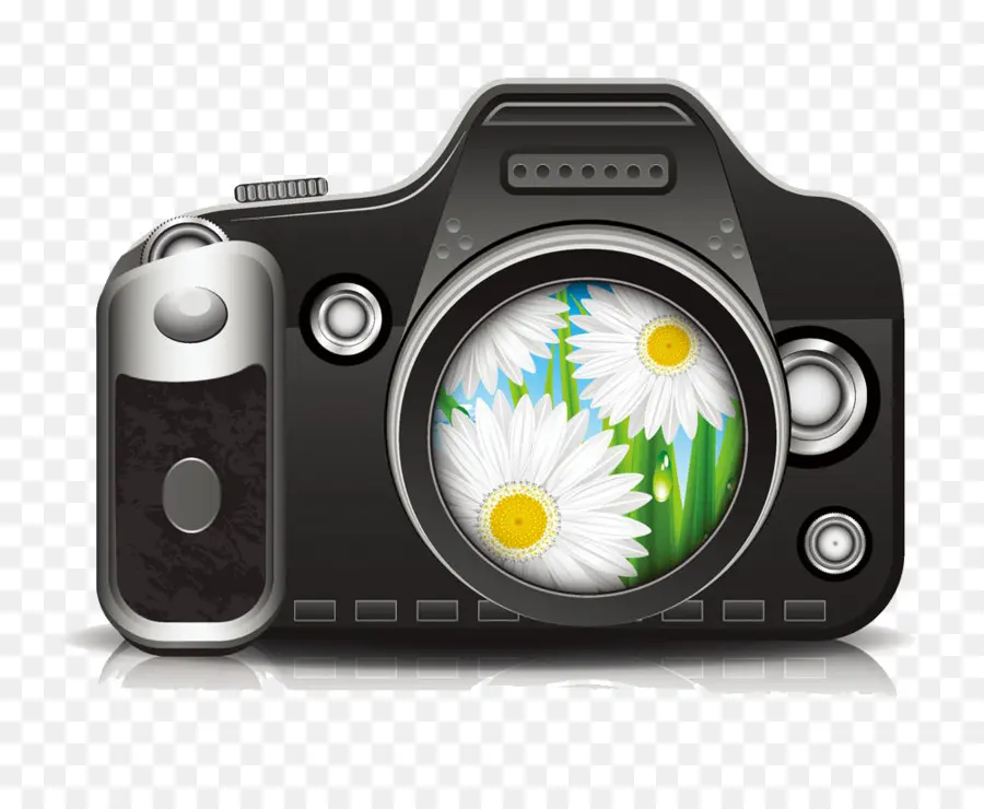 Kamera，Fotografi PNG