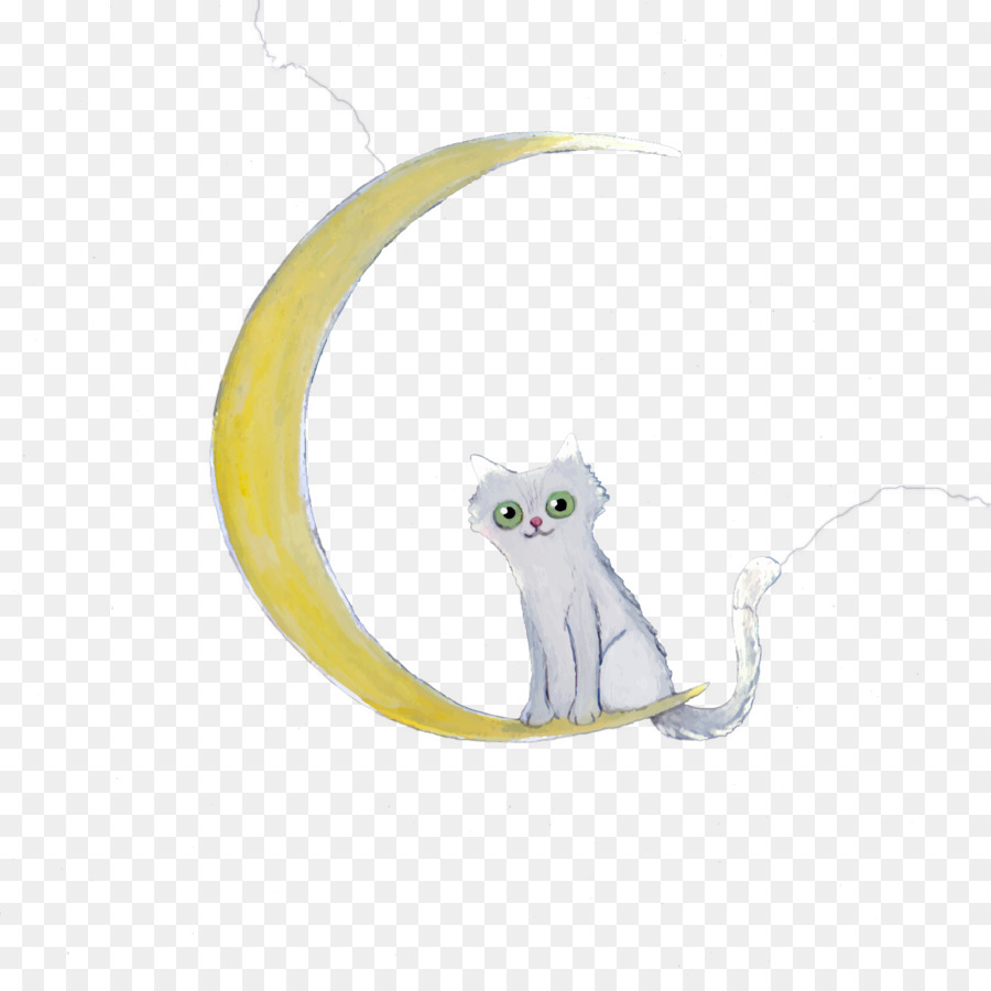 Kucing Di Bulan，Kucing Putih PNG