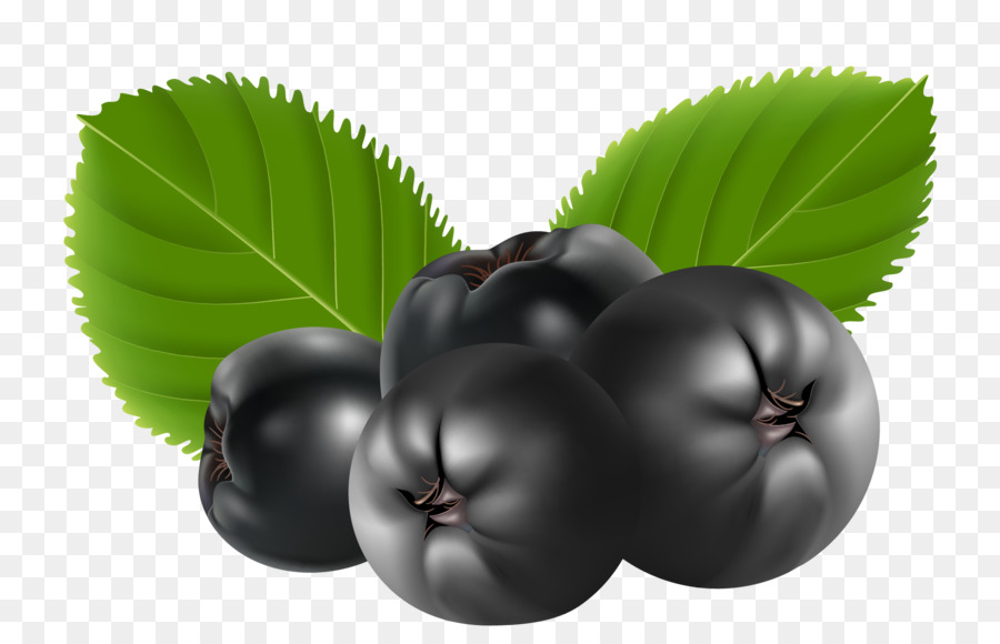 Berry，Blueberry PNG