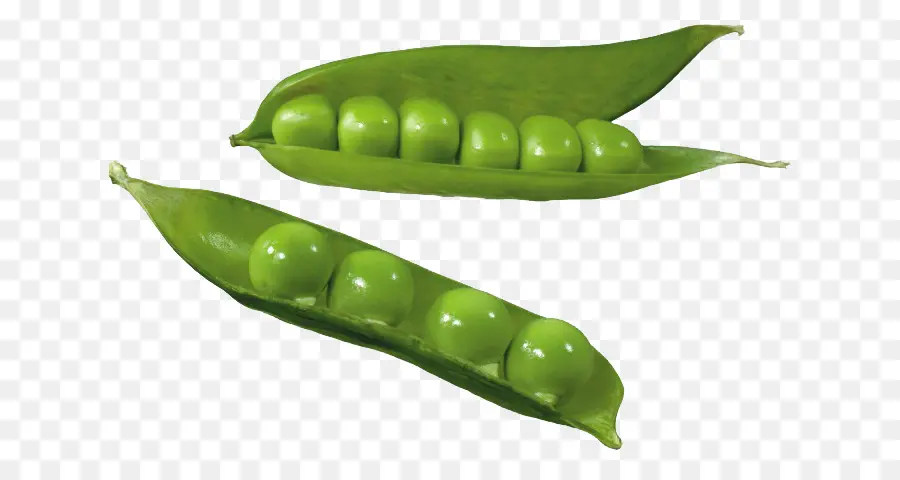 Kacang Polong，Polong PNG