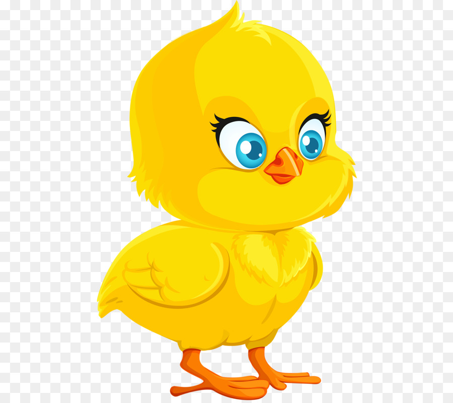 Gambar Kartun Anak  Ayam  Gambar Kartun