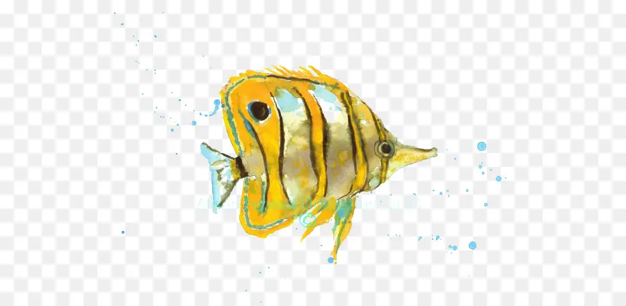 Lukisan Cat Air，Ikan PNG