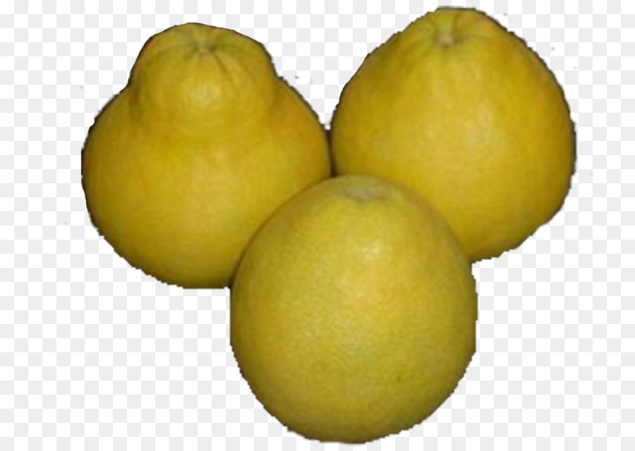 Lemon，Jeruk PNG