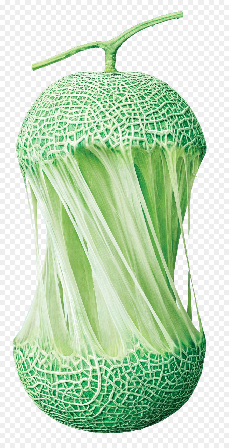 Melon Hijau，Melon PNG